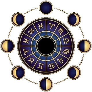 The Zodiac and Life Cycles illustration